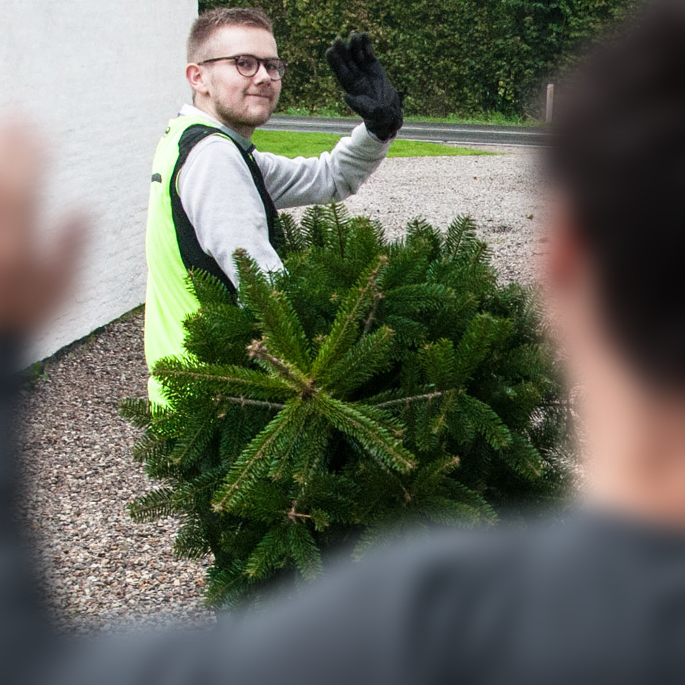 Person afhenter juletræ fra TreeTime – bærer træet hen til bilen.