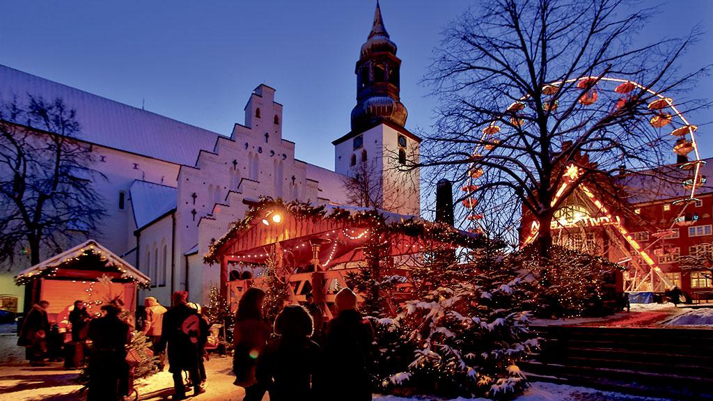 Køb juletræ i Aalborg