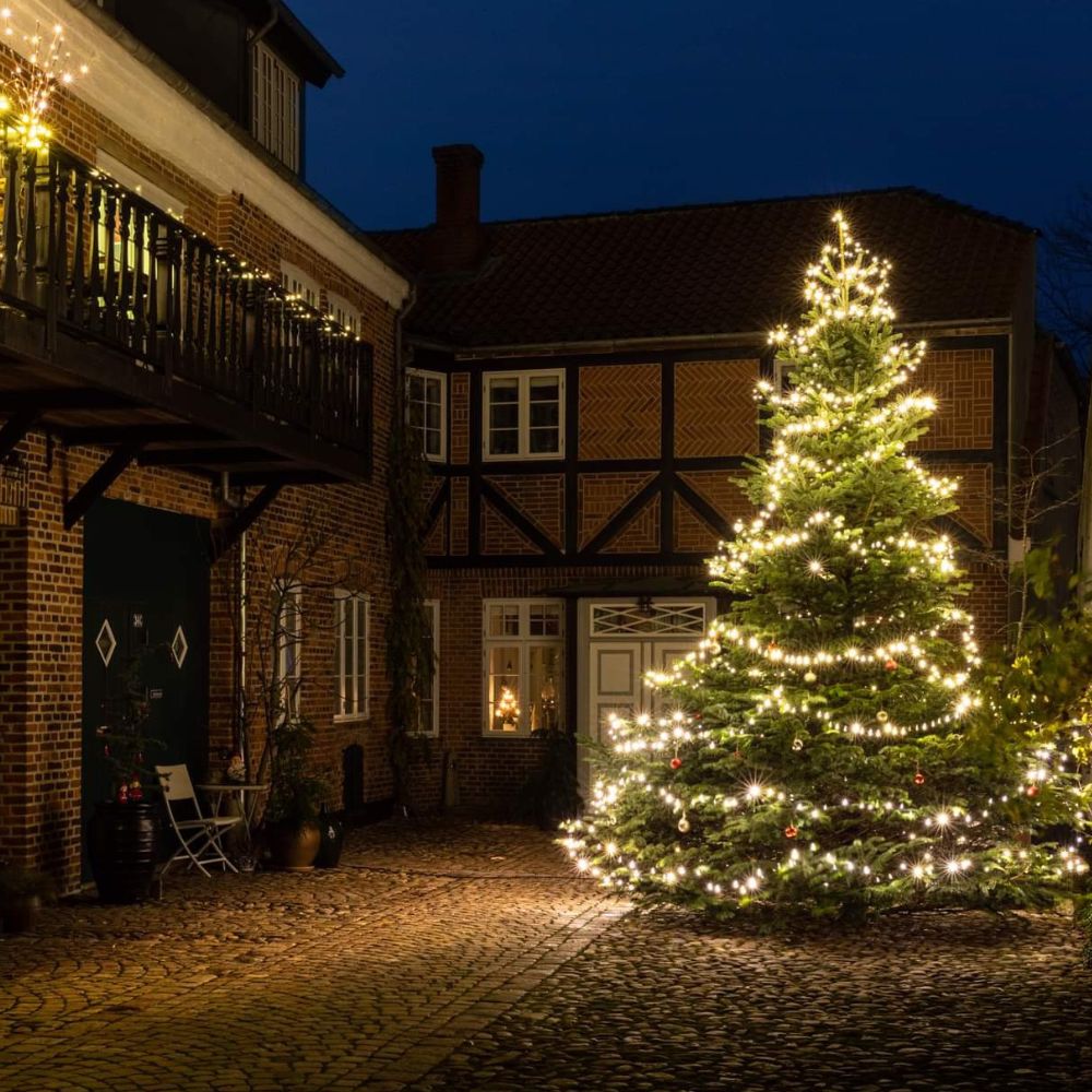 Juletræ med lyskæde i en baggård i ribe