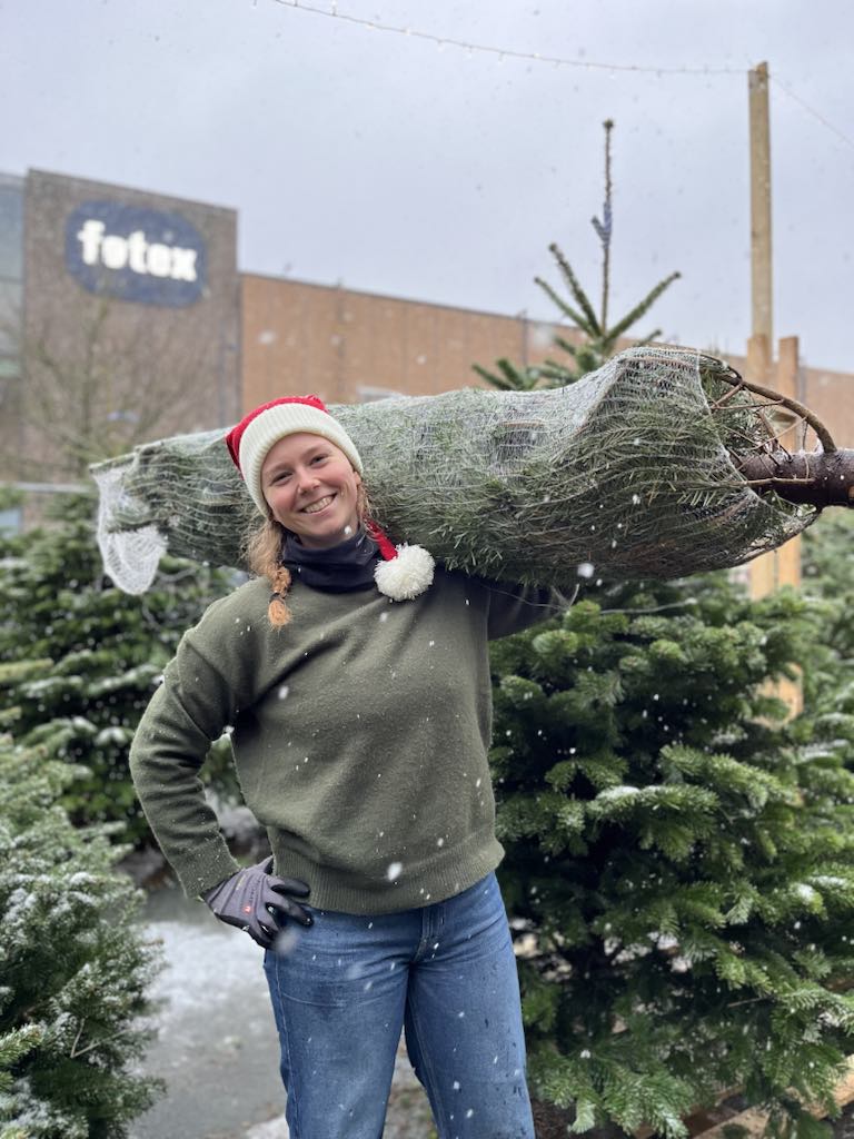 Kvinde bærer juletræ – TreeTime leverer juletræer til døren i hele Danmark.