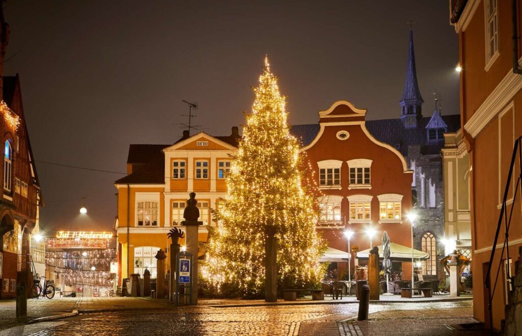 Store juletræer til store pladser