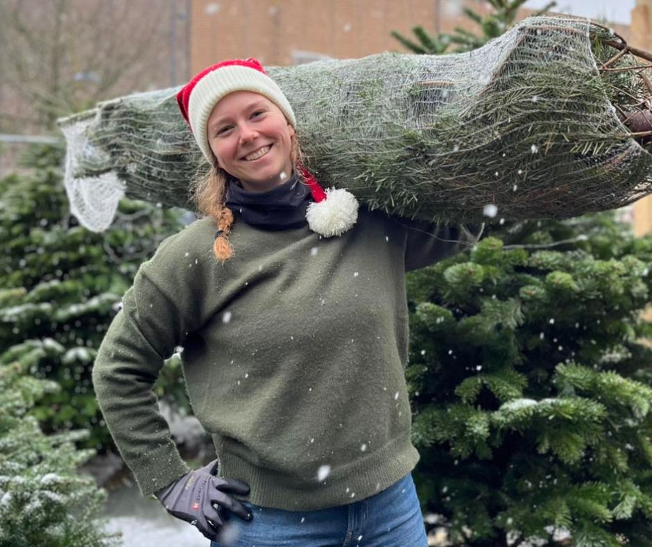 Pige står med juletræ - klar til at blive leveret