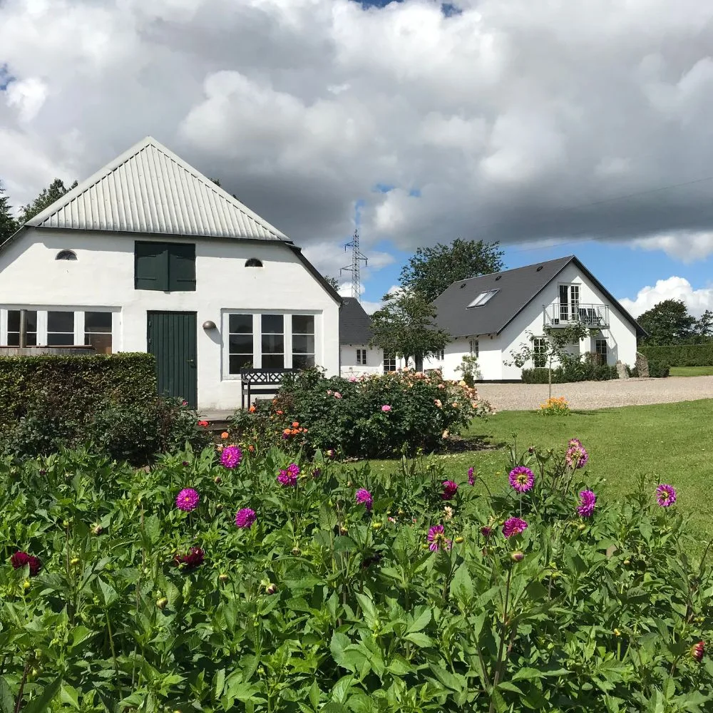 Grue pyntegrønt og planteskole Lys landejendom med blomstrende have foran huset og mark bagved