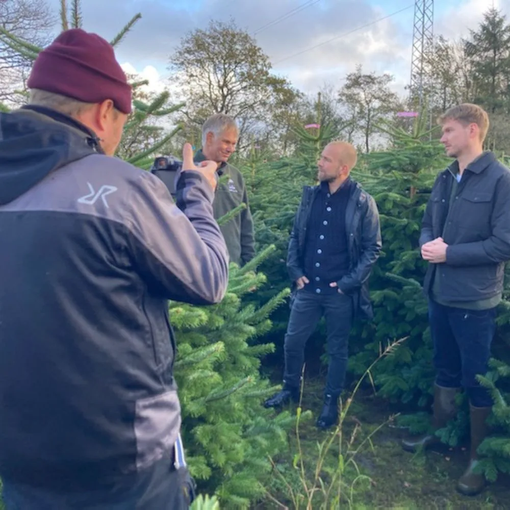 Søren vester i juletræer Gruppe af mænd står og taler mellem juletræer, en fotograferer dem