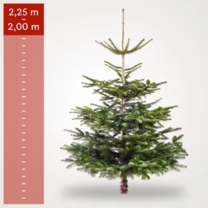 Stort Juletræ (2,00-2,25 m)